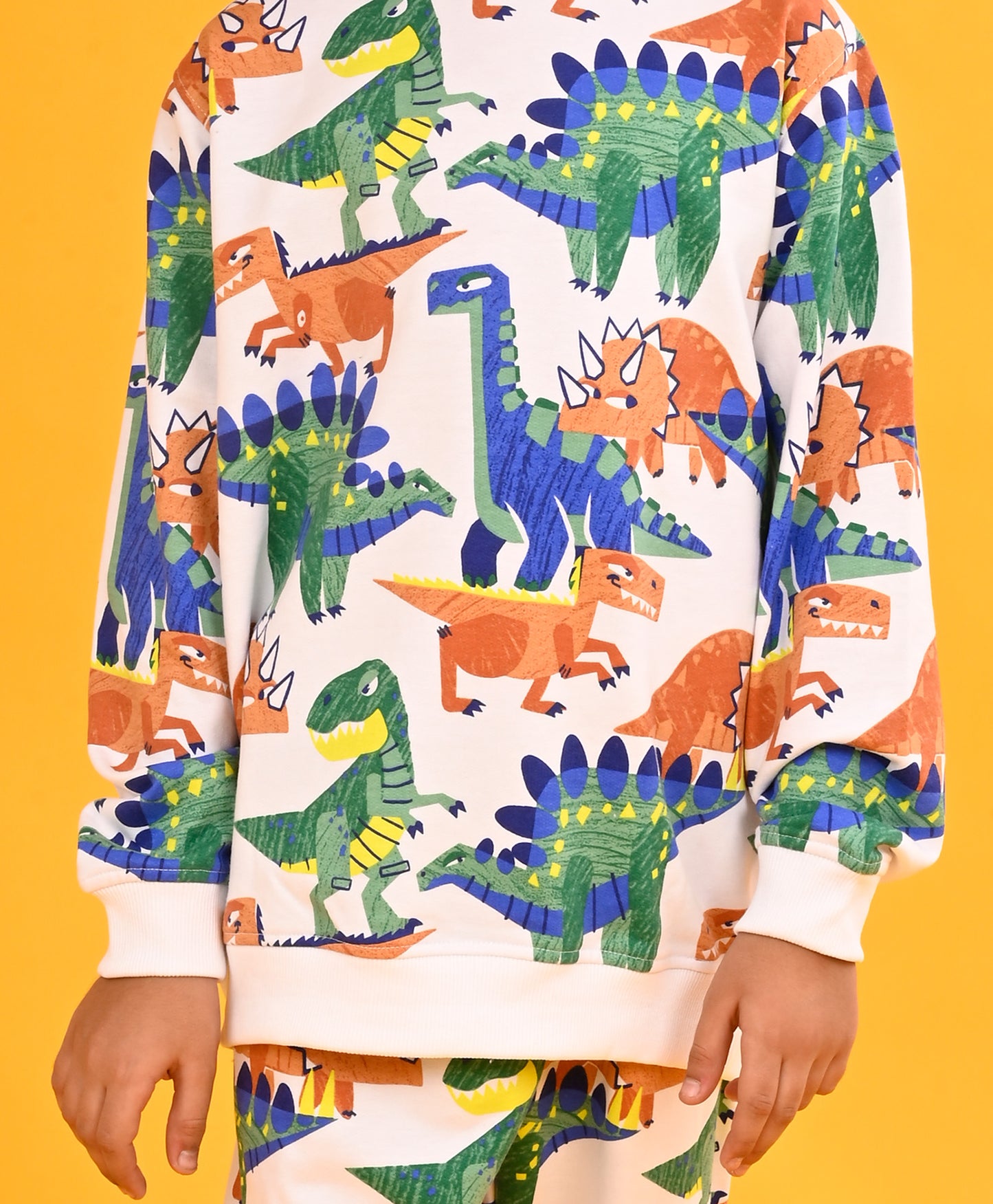 TRI DINOSAUR FLEECE BOYS SWEATSHIRT - WHITE