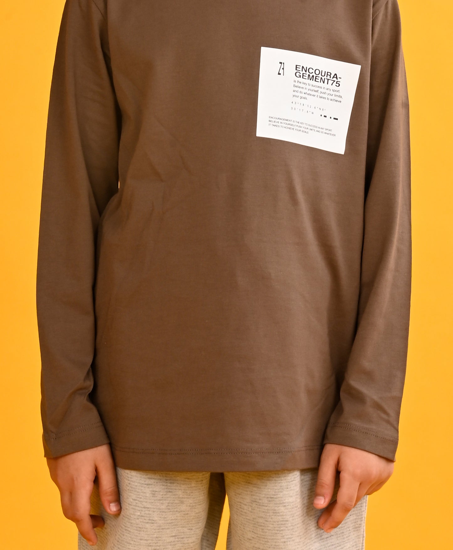 ENCOURAGEMENTS BOYS LONG SLEEVES T-SHIRT - BROWN