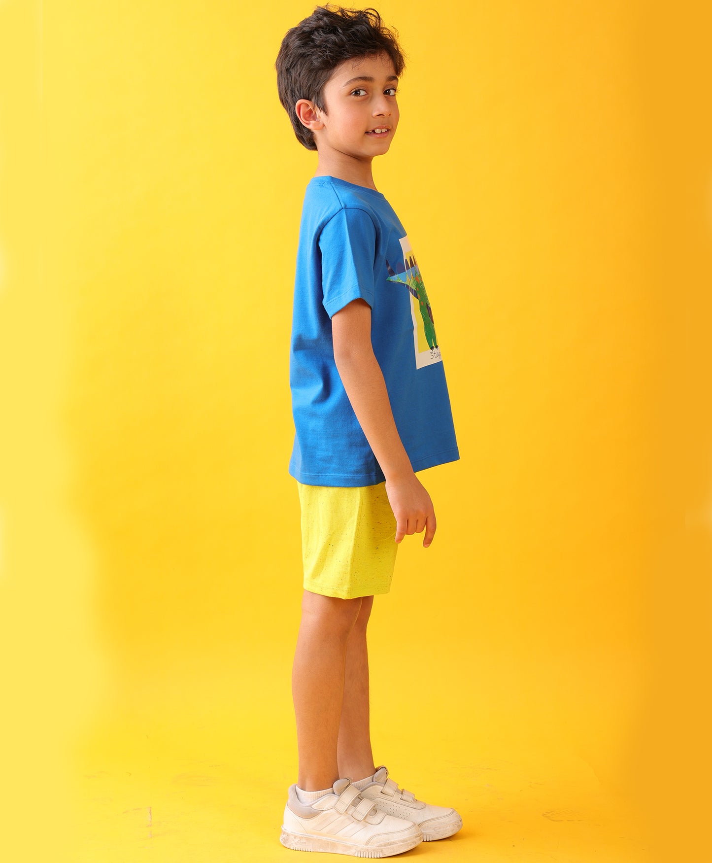 STEGOSAURUS LIME SUMMER SHORTS SET - ROYAL/LIME