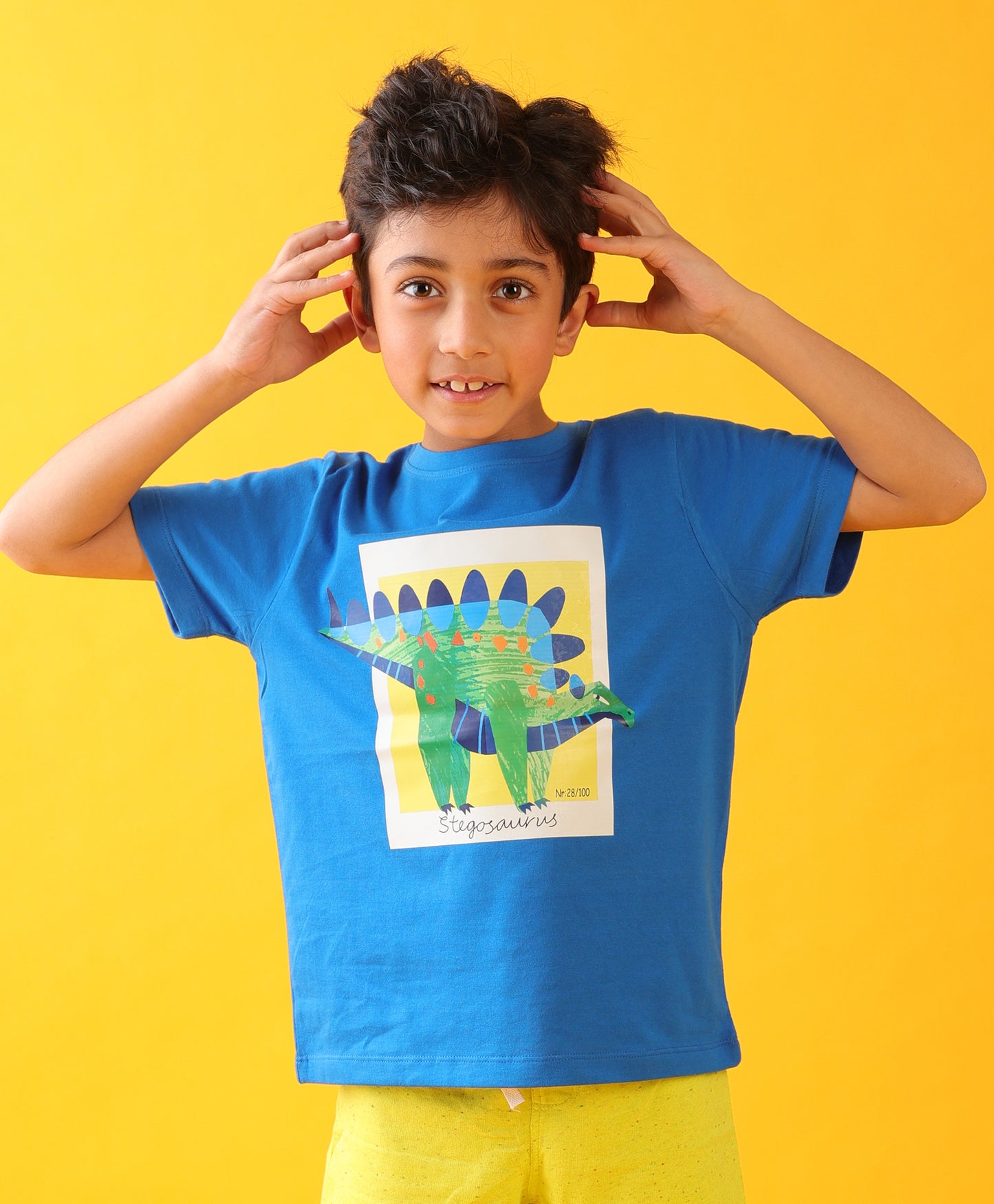 STEGOSAURUS ROYAL SHORT SLEEVE SUMMER BOYS T-SHIRT - ROYAL