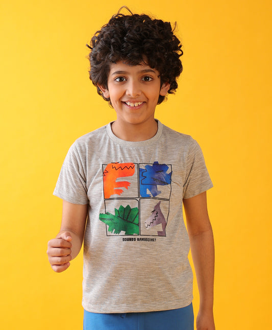 RAWRSOME DINO SHORT SLEEVE BOYS T-SHIRT - GREY